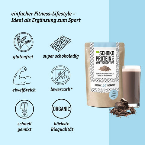 Poudre de protéines de chocolat biologique à base de concentré de lactosérum