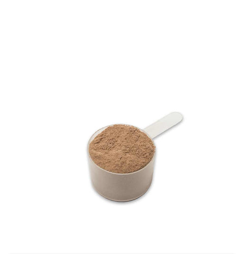 Poudre de protéines de chocolat biologique à base de concentré de lactosérum
