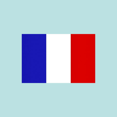 Lower Carb Baking Mix: French Instructions