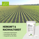Érythritol Premium Bio - 500g