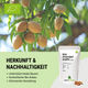 Farine d'Amande Premium Bio 400 g