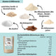 Pack Plantlove : mélange de biscuits végétaliens bio + crème de noisette croustillante + mélange de cuisson à faible teneur en glucides +